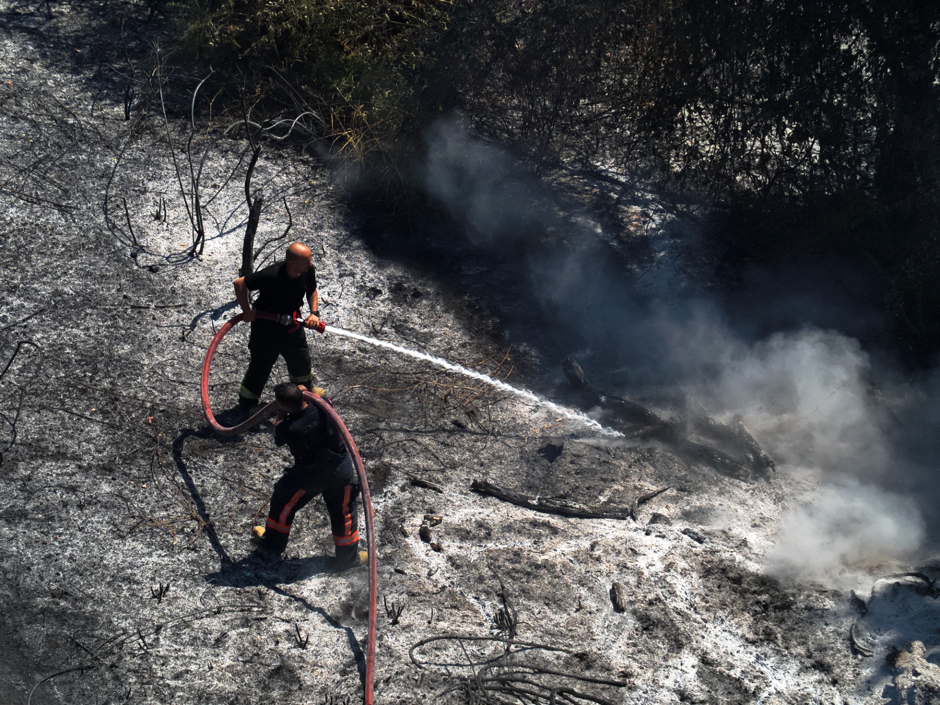 TEŞVİKİYE’DE ORMANLIK ALANDA  YANGIN